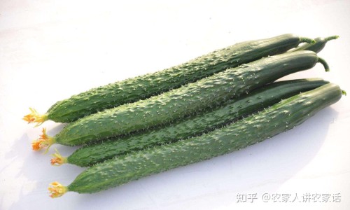 舒腹贴膏的正确使用方法专区_舒腹贴膏的功能主治一天贴几次专区_舒腹贴膏的功能主治网